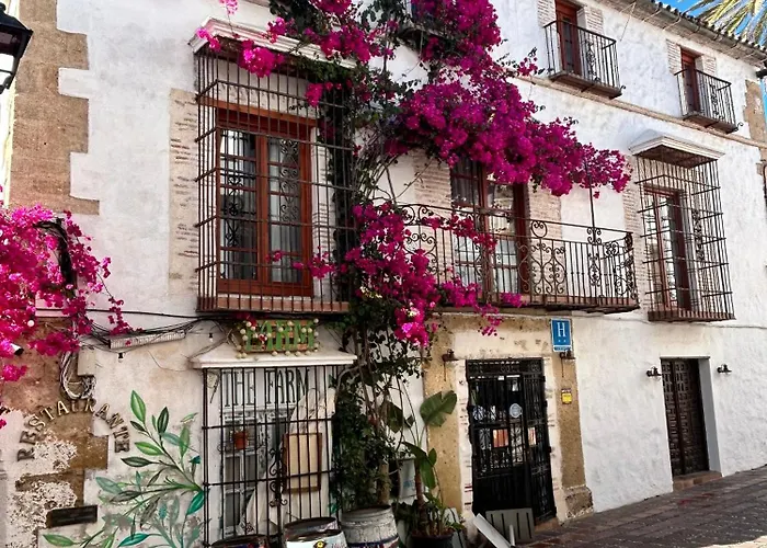 בית הארחה Cse The Old House מארבלה